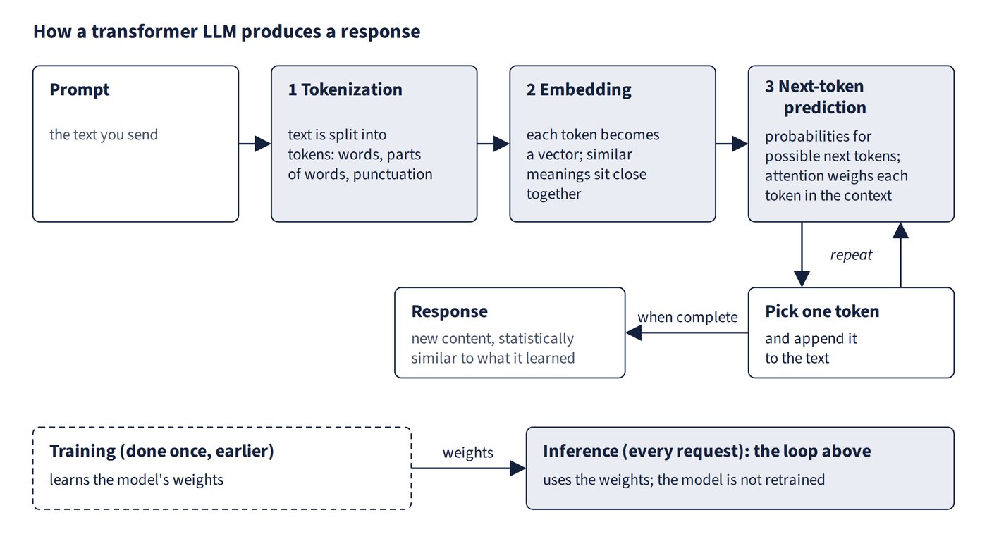A prompt goes through tokenization (the text is split into tokens), then embedding (each token becomes a vector), then next-token prediction (probabilities for the possible next tokens, with attention weighing each token in the context). The model picks one token, appends it to the text and repeats until the response is complete. A lower band shows that training, done once beforehand, learns the weights, and inference uses those weights on every request without retraining the model.